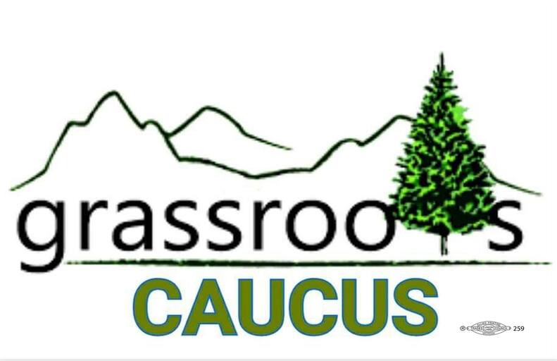 MI Democratic Party Grassroots Caucus logo